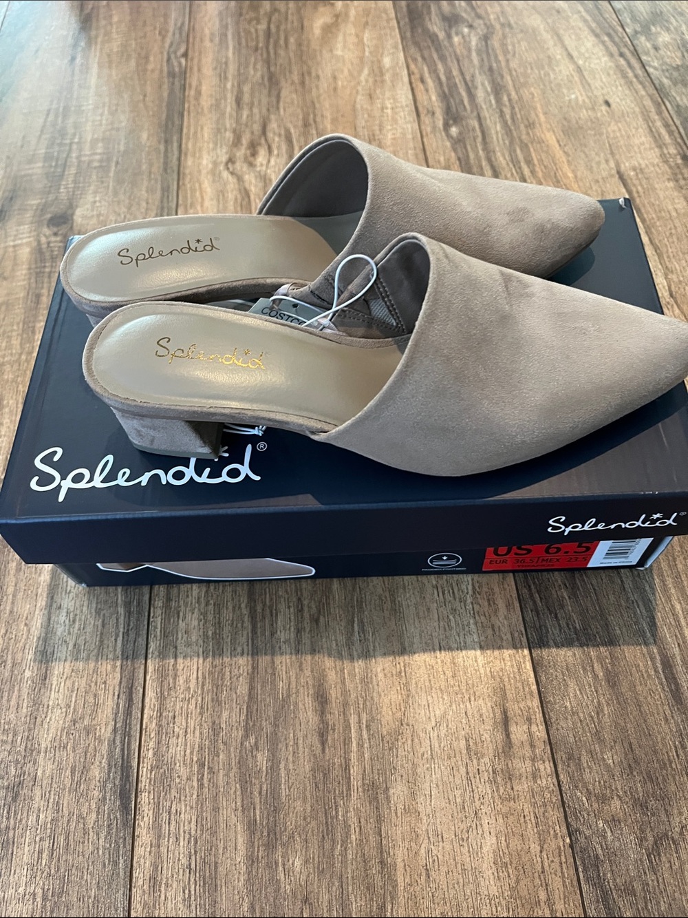 Splendid Taupe Pointed-Toe Suede Slip-On Mules